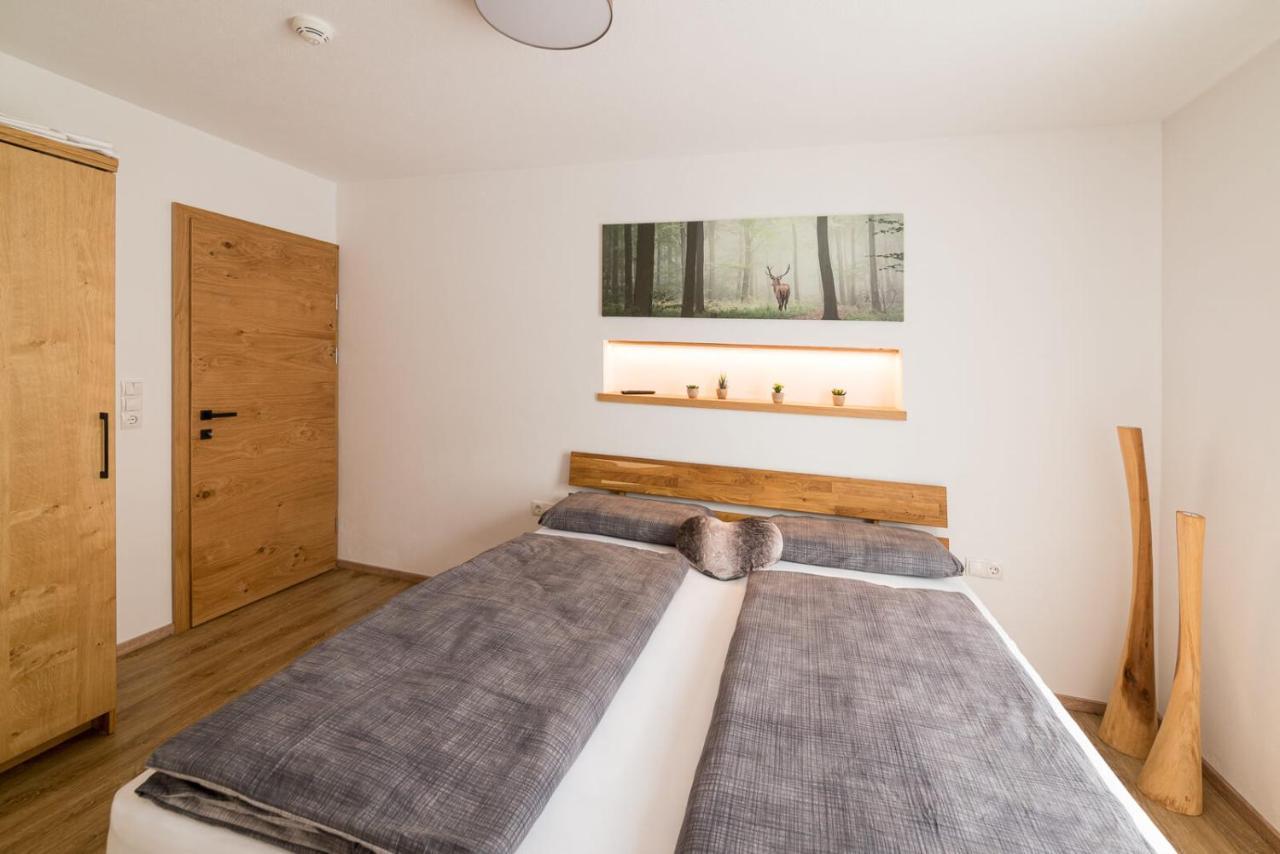Alpen-Lounge Apartment 17 Fuegen Ngoại thất bức ảnh